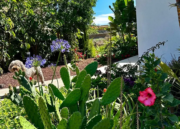 Private & Terrace, Pool Apartamento Granadilla De Abona