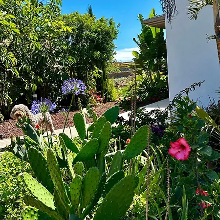 Private & Terrace, Pool Apartment Granadilla De Abona