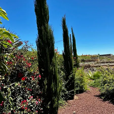 Private & Terrace, Pool * Granadilla De Abona