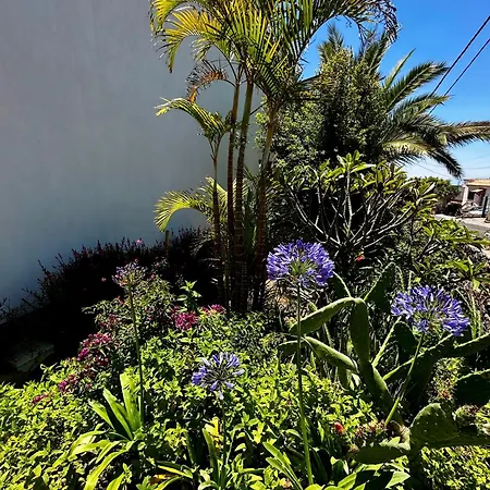 Private & Terrace, Pool Apartment Granadilla De Abona
