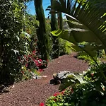 Private Studio&terrace, Pool