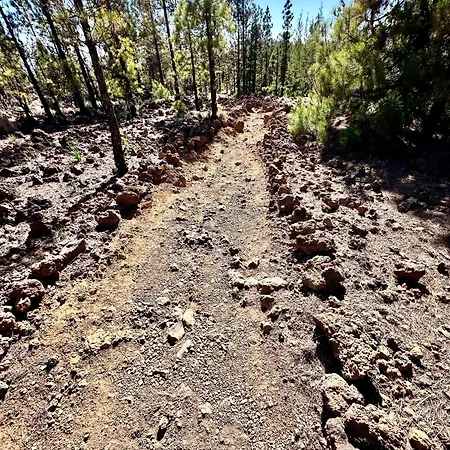 Appartement Private & Terrace, Pool *