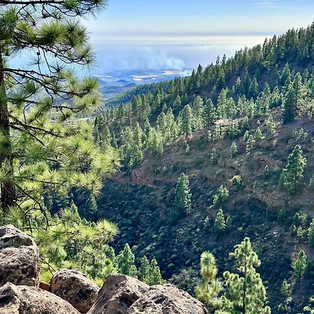 Private & Terrace, Pool